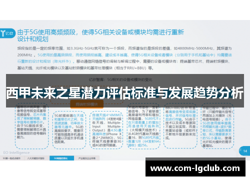 西甲未来之星潜力评估标准与发展趋势分析