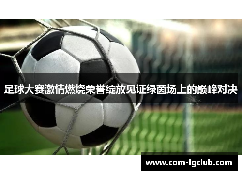 足球大赛激情燃烧荣誉绽放见证绿茵场上的巅峰对决