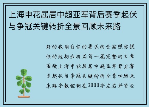 上海申花屈居中超亚军背后赛季起伏与争冠关键转折全景回顾未来路 上海申花屈居中超亚军背后赛季起伏与争冠关键转折全景回顾未来路